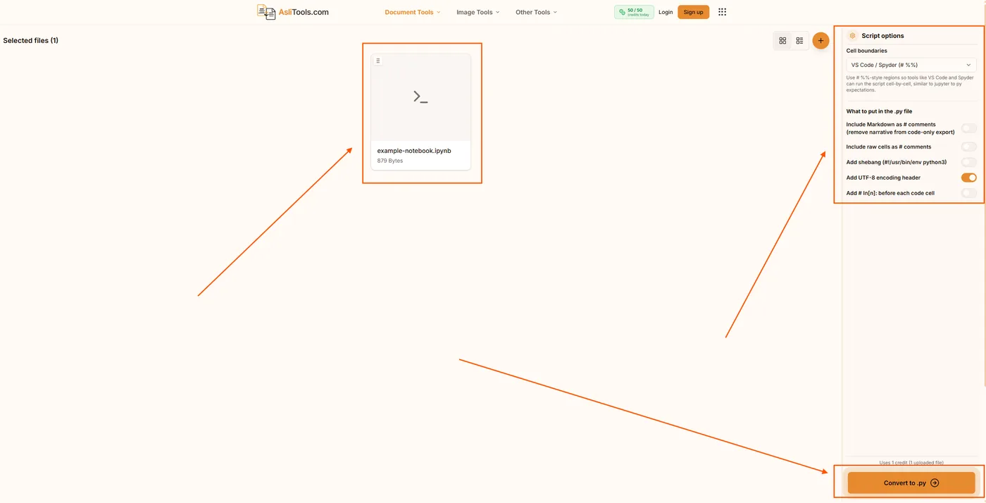 Configure cell boundaries, encoding header, and other script options before converting