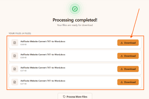 Completed TXT to Word conversion in the TXT to Word converter with DOCX files ready to download